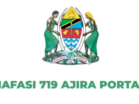 Nafasi za Kazi Ajira Portal 719