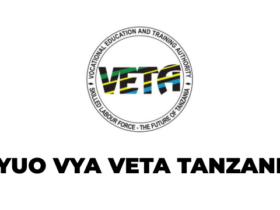 Orodha ya Vyuo vya VETA Vinavyotoa Mafunzo ya Uanagenzi Tanzania