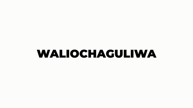 Waliochaguliwa Kidato cha Tano 2026-27 Tanzania