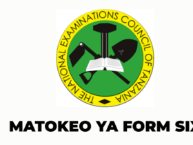 Matokeo ya Kidato cha Sita 2026 NECTA Form Six Results 2026/2027 Shule Zote