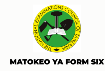 NECTA Matokeo ya Kidato cha Sita 2026 PDF Shule Zote za Secondary Form Five Results 20262027