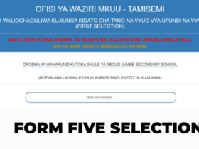 Waliochaguliwa Kujiunga Kidato cha Tano 2026 Form Five Selection 2026/2027 Mikoa Yote