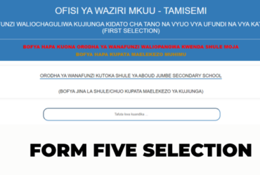 Waliochaguliwa Kujiunga Kidato cha Tano 2026 Form Five Selection 2026/2027 Mikoa Yote