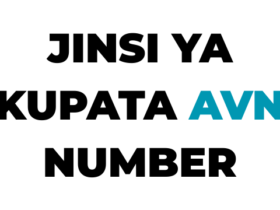 Jinsi ya Kupata AVN Namba NACTVET 2026