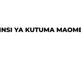 Jinsi ya Kutuma Maombi ya Chuo Kikuu 2026/2027 Tanzania