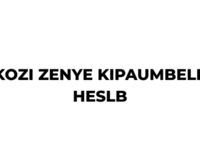 Kozi Zenye Kipaumbele Kupata Mkopo HESLB 2026/2027