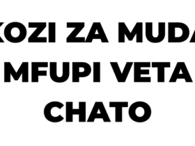 Kozi za Muda Mfupi VETA Chato 2026