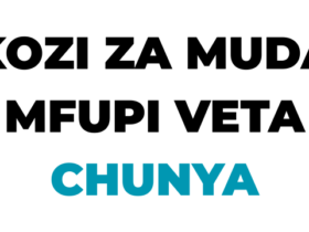 Kozi za Muda Mfupi VETA Chunya 2026