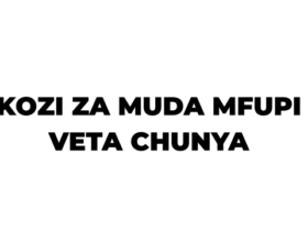 Kozi za Muda Mfupi Zinazotolewa na Chuo cha Ufundi Stadi VETA Chunya