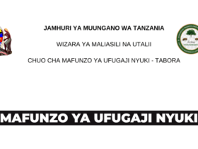Mafunzo ya Ufugaji wa Nyuki Wasiodunga BTI Tabora 2026