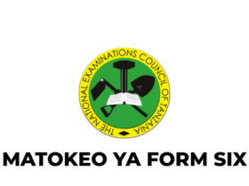Muhtasari wa Matokeo ya Kidato cha Sita 2026 NECTA Huu Hapa
