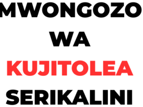 Mwongozo wa Kujitolea Serikalini 2026