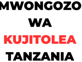Mwongozo wa Kujitolea katika Utumishi wa Umma Tanzania 2026