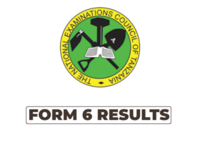 NECTA Matokeo ya Kidato cha Sita 2026 PDF Shule Zote za Secondary Form Six Results 2026/2027 Haya Hapa