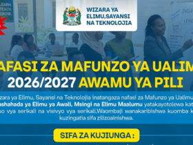 Nafasi za Mafunzo ya Ualimu 2026/2027 Awamu ya Pili – Jinsi ya Kutuma Maombi