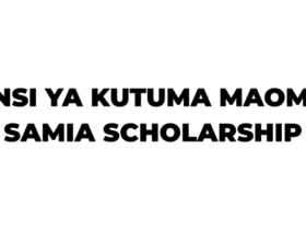 Orodha ya Wanafunzi 1,000 wa STEM, Wanafunzi 50 wa DS/AI+ na Jinsi ya Kutuma Maombi