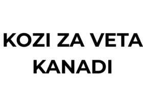 Kozi za Muda Mfupi VETA Kanadi 2026