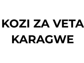 Kozi za Muda Mfupi VETA Karagwe 2026