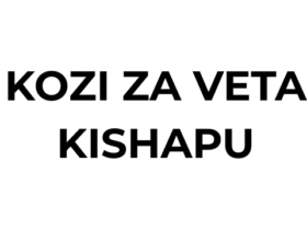 Kozi za Muda Mfupi VETA Kishapu 2026