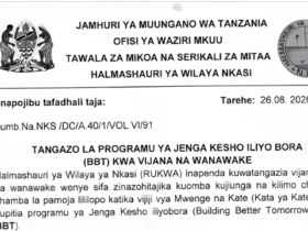 Programu ya Jenga Kesho Iliyobora (BBT) Nkasi 2026 | Fursa kwa Vijana na Wanawake