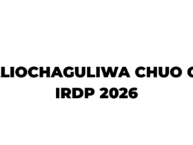 Waliochaguliwa Chuo cha IRDP 2026-2027