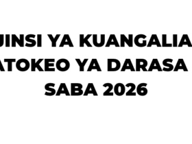 Jinsi ya Kuangalia Matokeo ya NECTA Darasa la Saba 2026-27