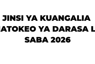 Jinsi ya Kuangalia Matokeo ya NECTA Darasa la Saba 2026-27