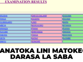 Matokeo ya NECTA Darasa la Saba 2026 Yatatoka Lini?