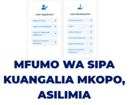 Mfumo wa SIPA HESLB 2026: Jinsi ya Kuangalia Matokeo ya Mkopo na Asilimia