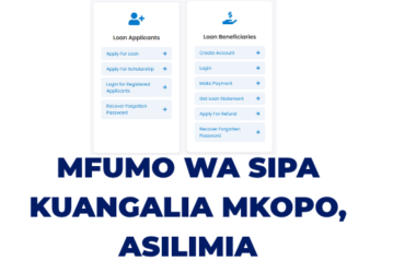 Mfumo wa SIPA HESLB 2026: Jinsi ya Kuangalia Matokeo ya Mkopo na Asilimia